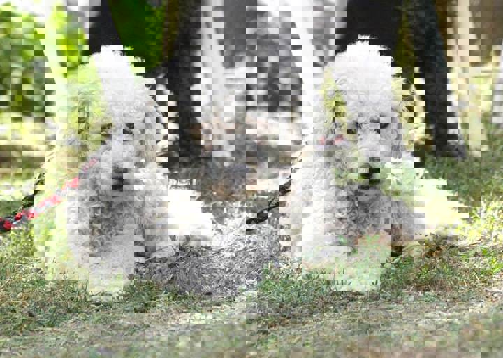 17_06110195.jpg