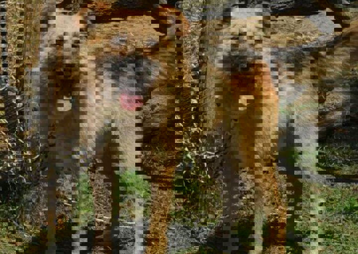 DSC_1910.JPG