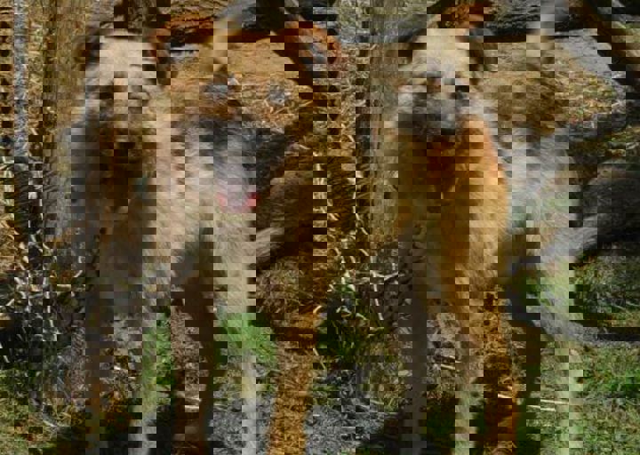 DSC_1911.JPG