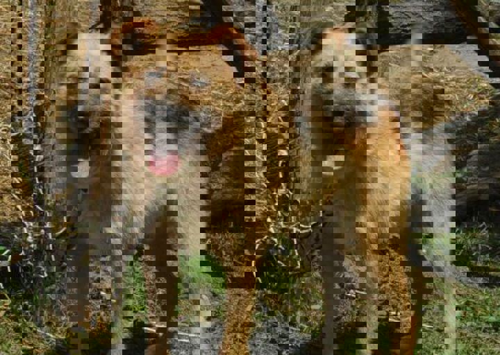 DSC_1912.JPG