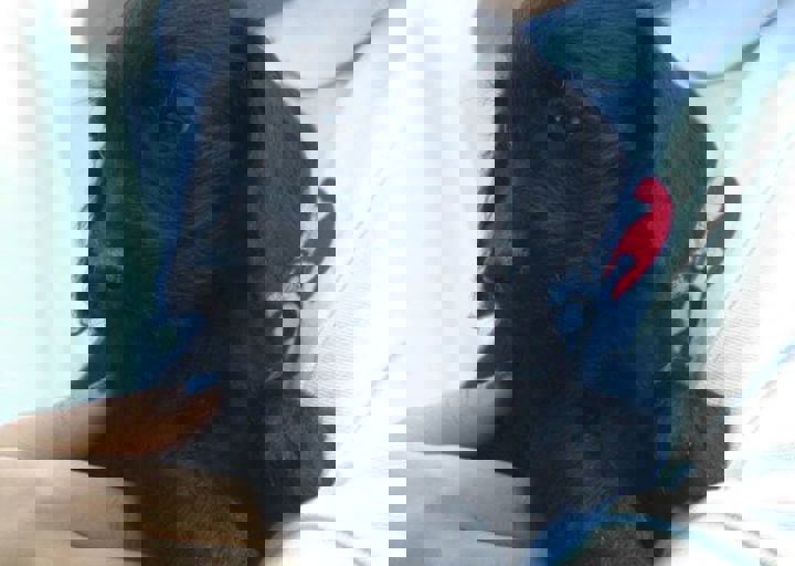 DSC_1917.JPG
