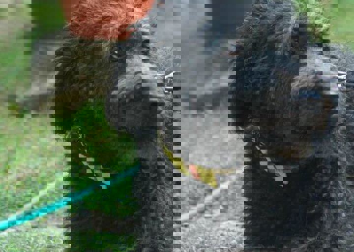 DSC_1921.JPG