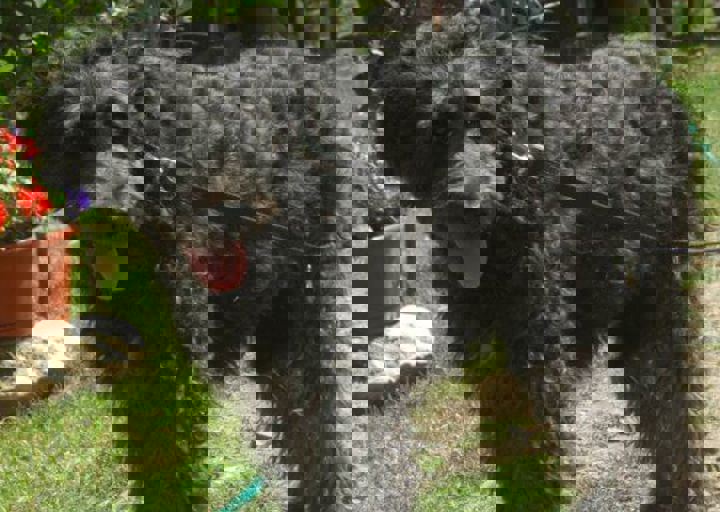 DSC_1923.JPG