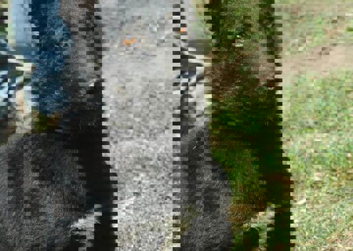 DSC_1941.JPG