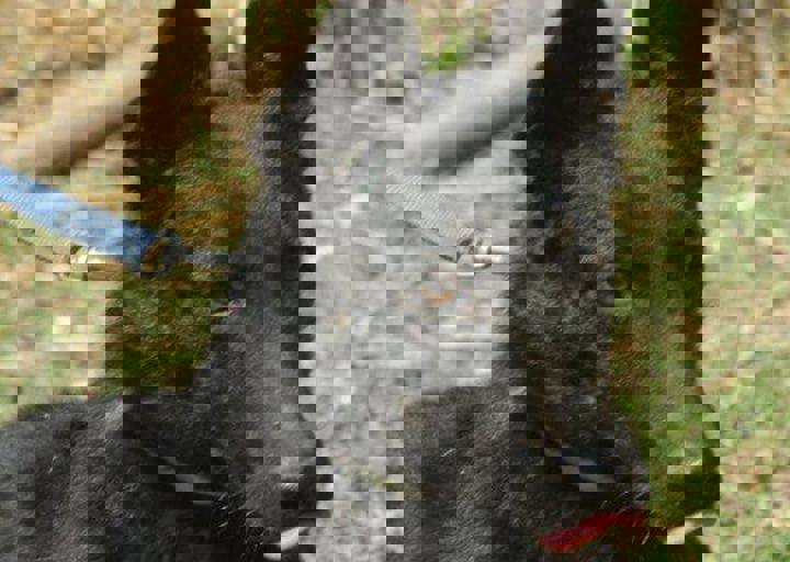 DSC_1942.JPG
