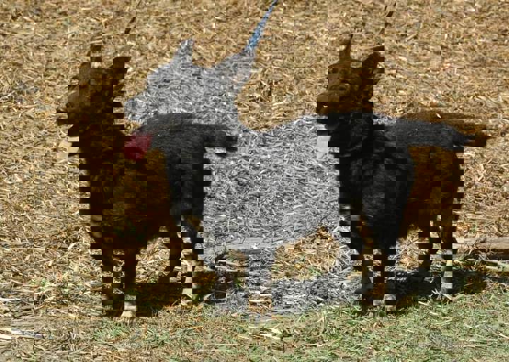 DSC_1945.JPG
