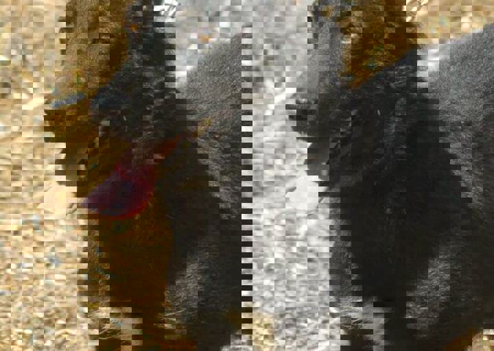 DSC_1951.JPG