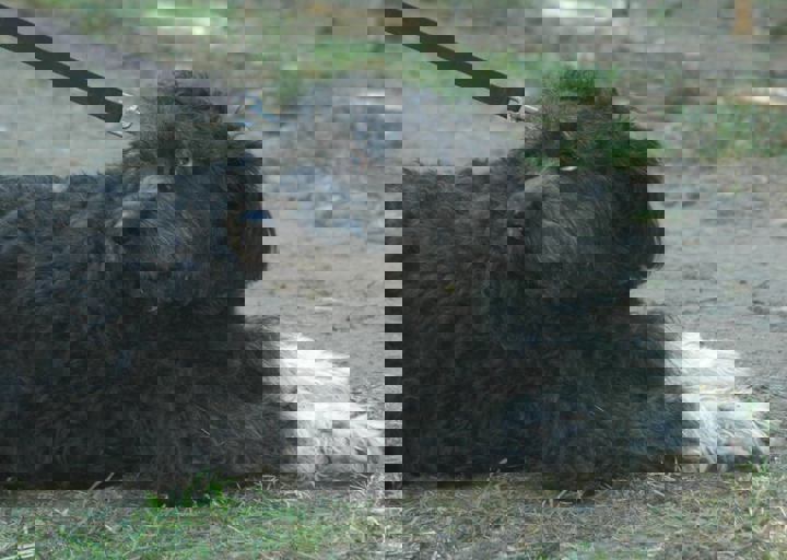 DSC_1954.JPG