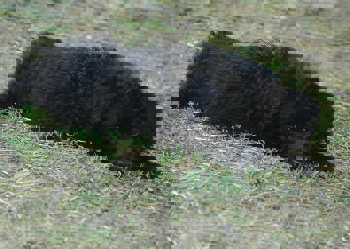 DSC_1962.JPG