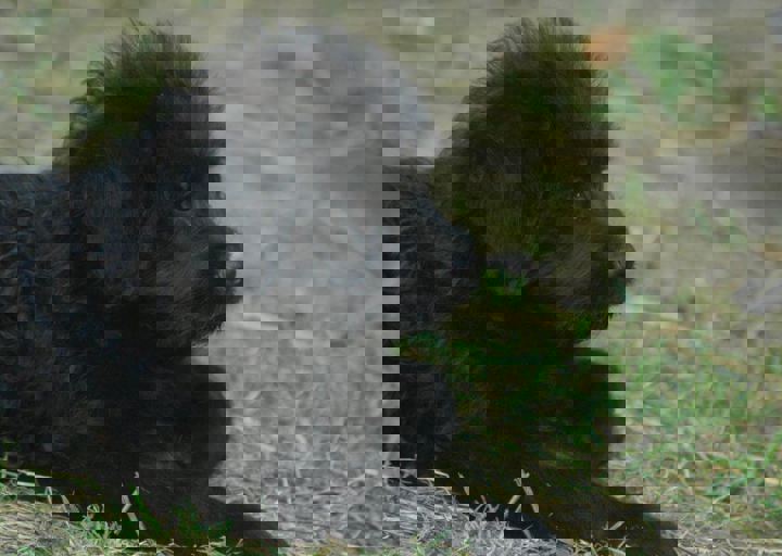 DSC_1963.JPG