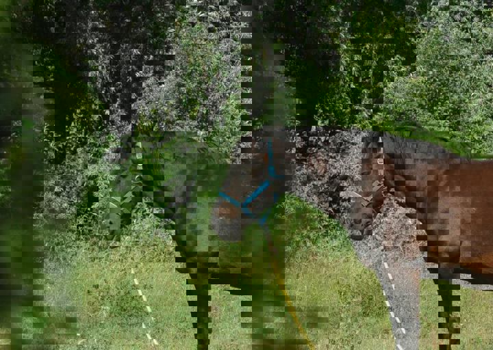 DSC_1967.JPG