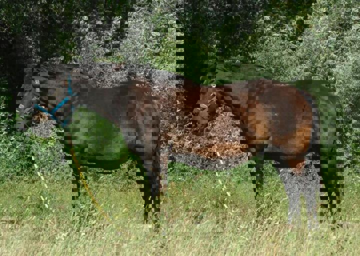 DSC_1968.JPG