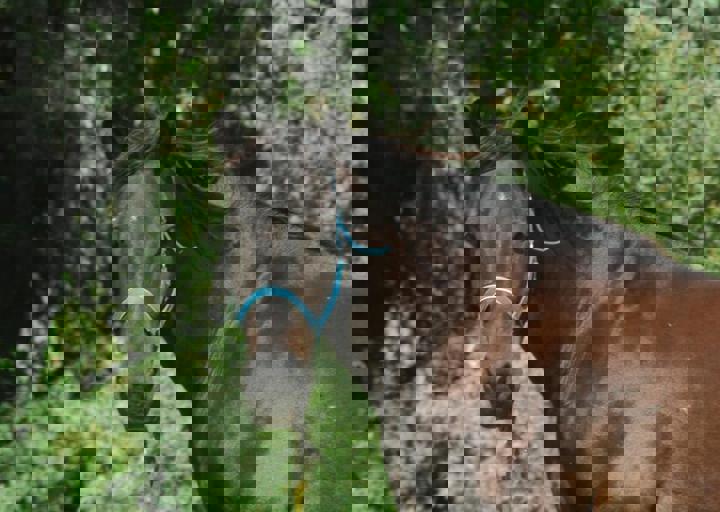 DSC_1970.JPG