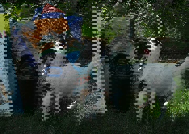 DSC_1981.JPG