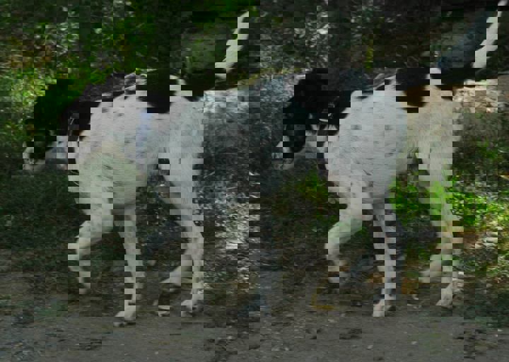 DSC_1982.JPG