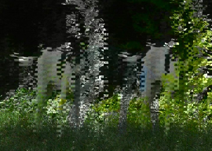 DSC_1984.JPG