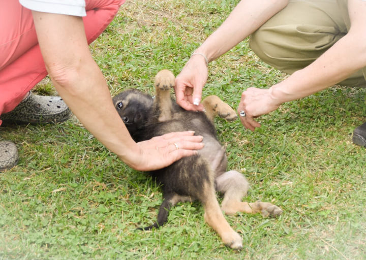 Fecö_DSH_6070.jpg