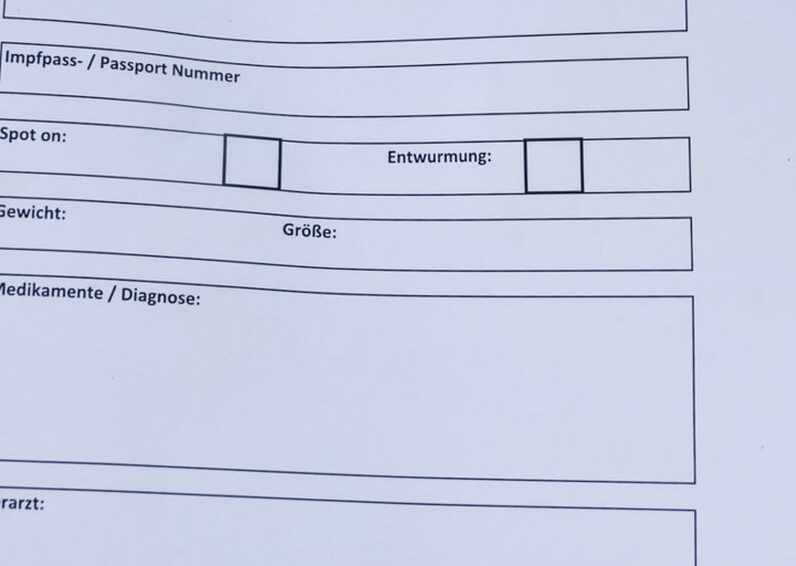 Fürge_1.jpg