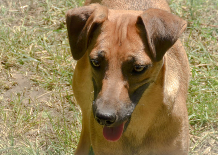 Okos_DSH_5004.jpg