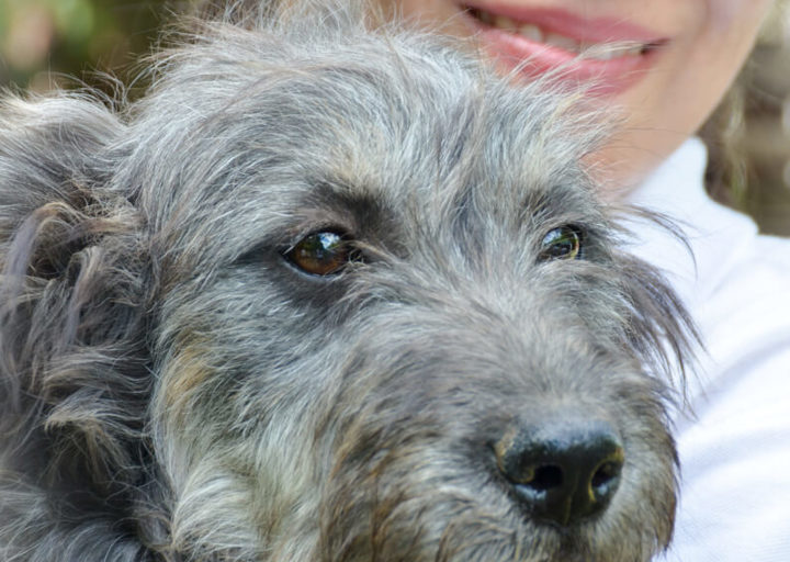 Sonja_DSH_5869.jpg