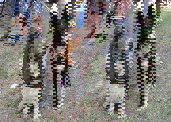 DSC05070.JPG