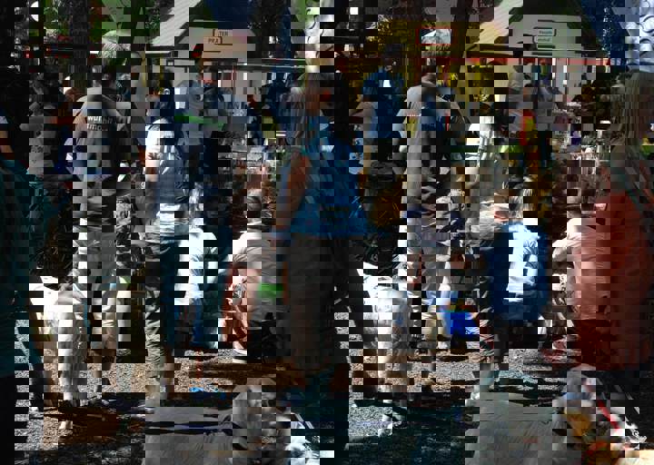 fb_sommerfest2014_1003.jpg