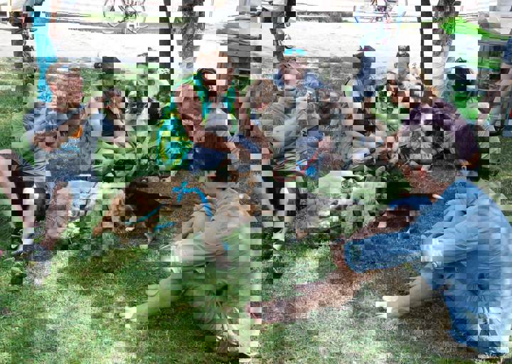 fb_sommerfest2014_1015.jpg
