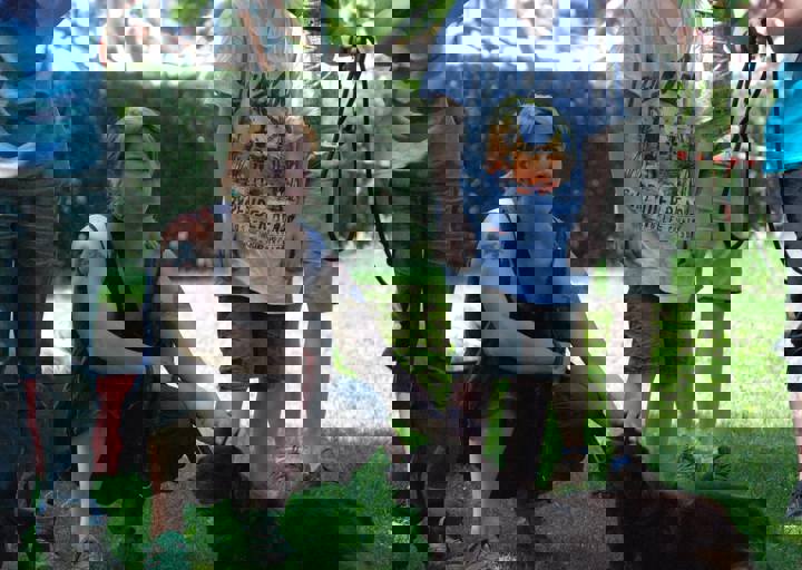 fb_sommerfest2014_1024.jpg