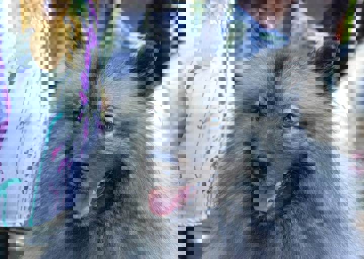 fb_sommerfest2014_1027.jpg