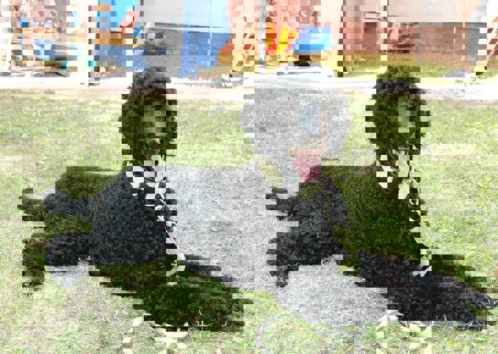 fb_sommerfest2014_1044.jpg