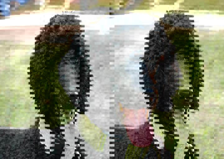 fb_sommerfest2014_1065.jpg