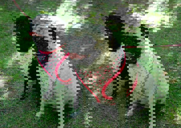 fb_sommerfest2014_1095.jpg