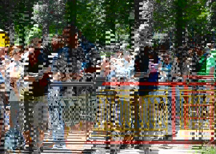 fb_sommerfest2014_1107.jpg