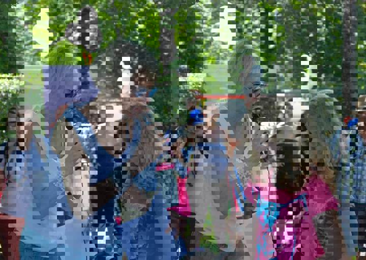 fb_sommerfest2014_1115.jpg