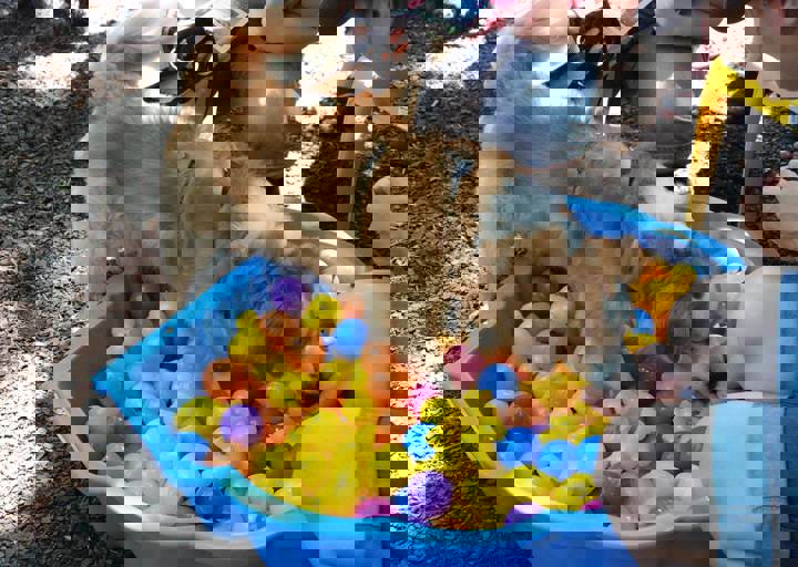fb_sommerfest2014_1122.jpg