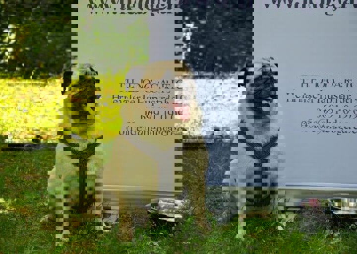fb_sommerfest2014_1144.jpg