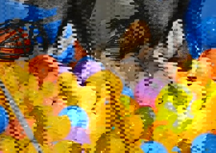 fb_sommerfest2014_1159.jpg