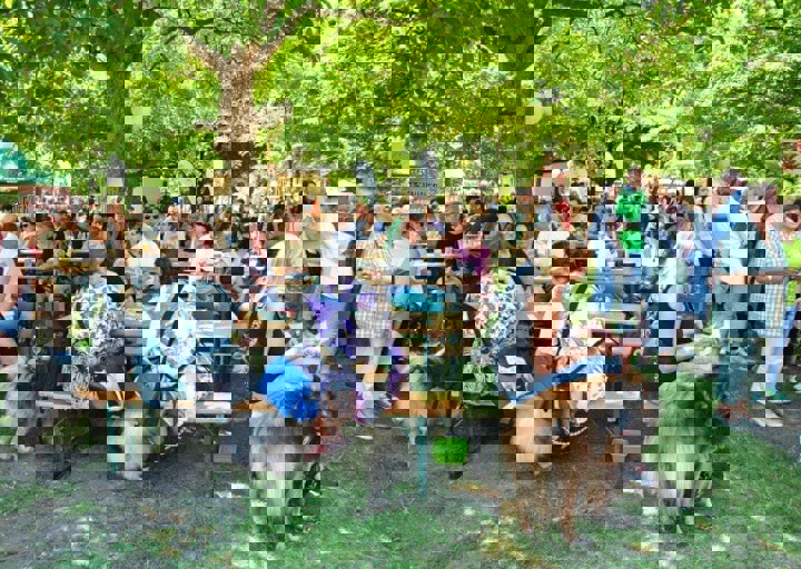 fb_sommerfest2014_1171.jpg