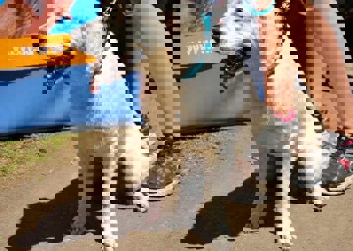 fb_sommerfest2014_1172.jpg