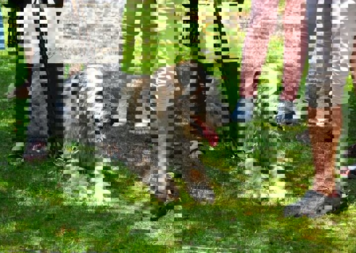 fb_sommerfest2014_1176.jpg