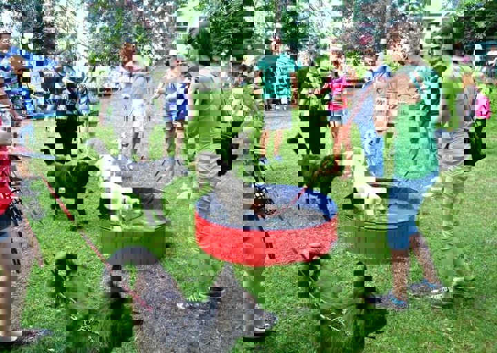 fb_sommerfest2014_1180.jpg