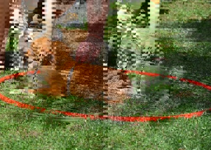 fb_sommerfest2014_1185.jpg
