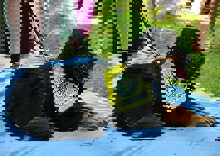 fb_sommerfest2014_1194.jpg