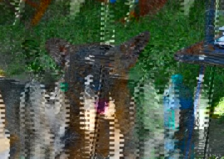 fb_sommerfest2014_1205.jpg