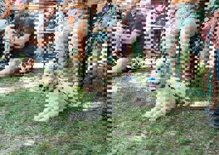 DSC_5412.jpg