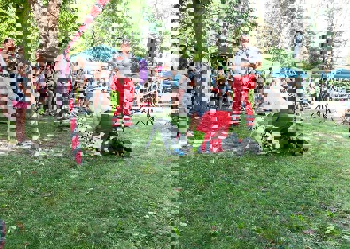 DSC_5521.jpg