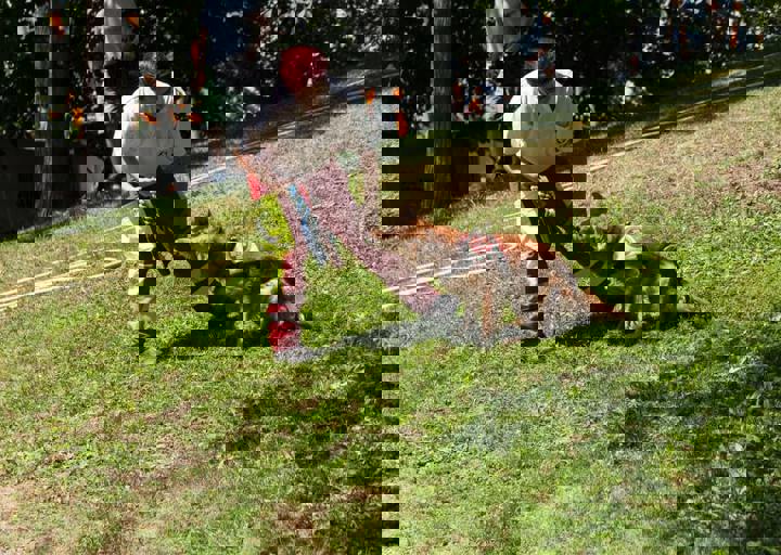 DSC_5565.jpg