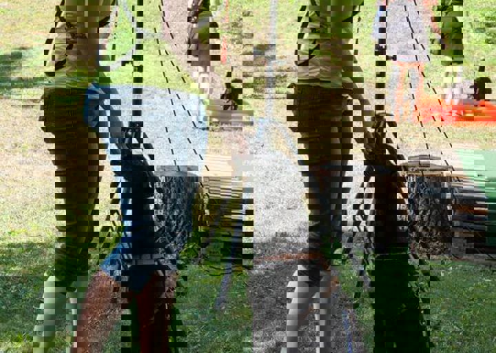 DSC_5862.jpg