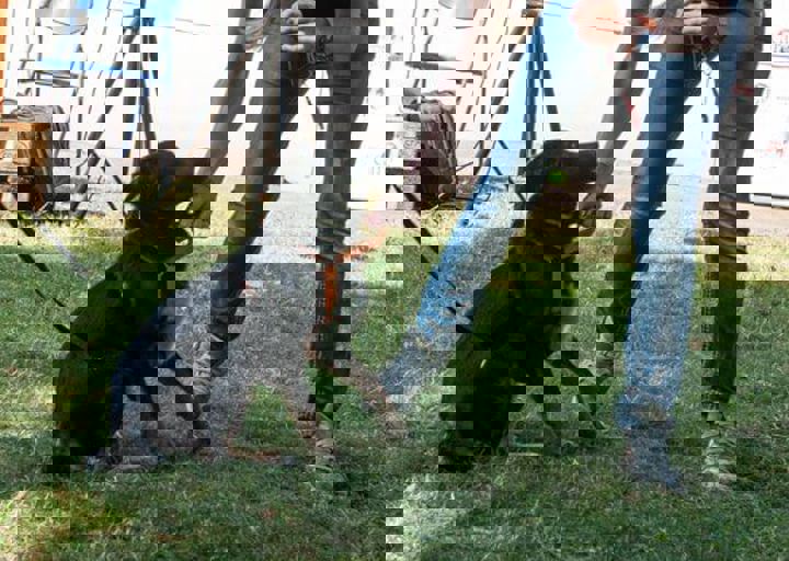 DSC_6114.jpg
