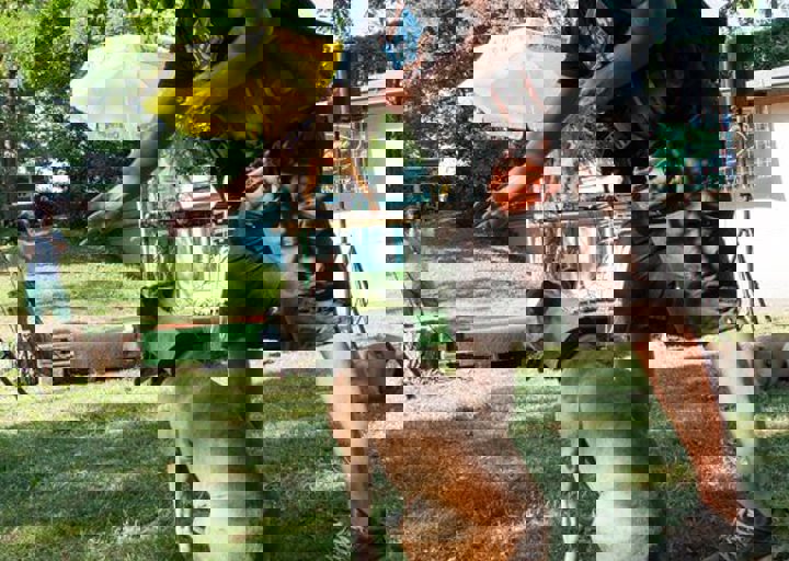 DSC_6224.jpg